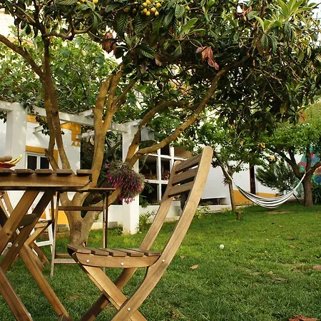 Hostal Olive3