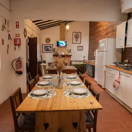Olive3 * Ericeira