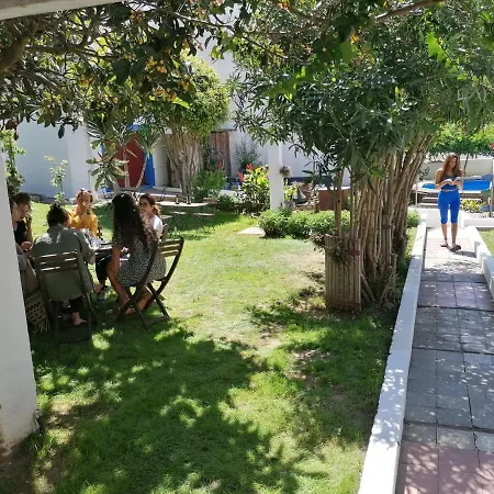 Hostel Olive3 *