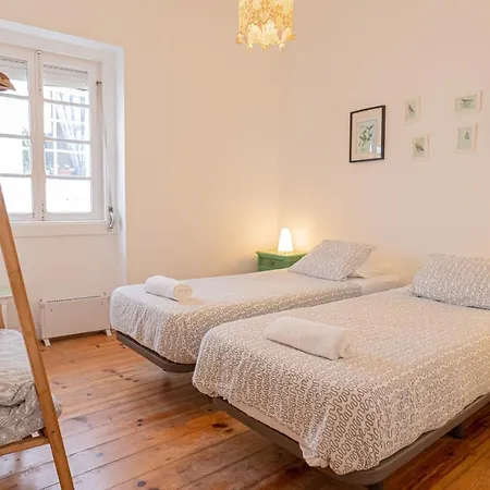 Olive3 Hostel