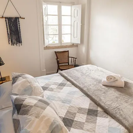 Olive3 Hostel