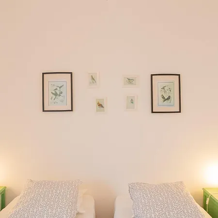 Olive3 * Ericeira