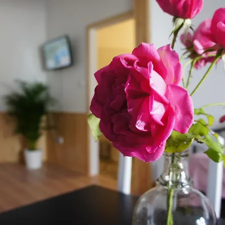 Olive3 Эрисейра