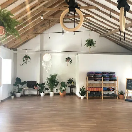 Hostel Olive3